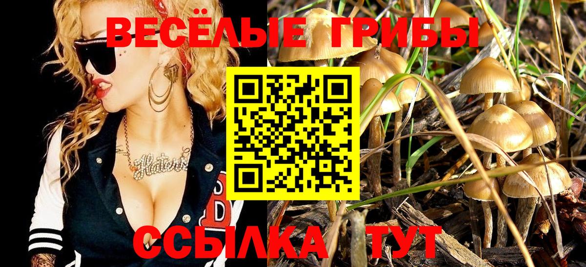 Галлюциногенные грибы GOLDEN TEACHER Луга